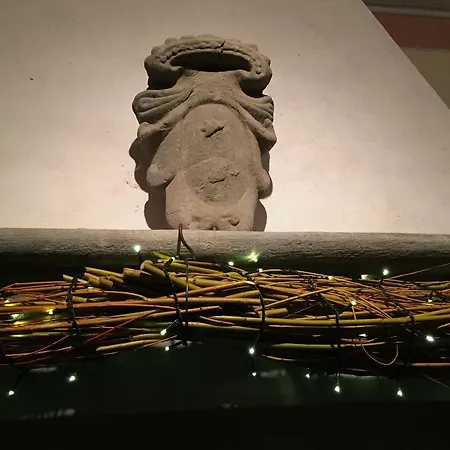 Il Leccio