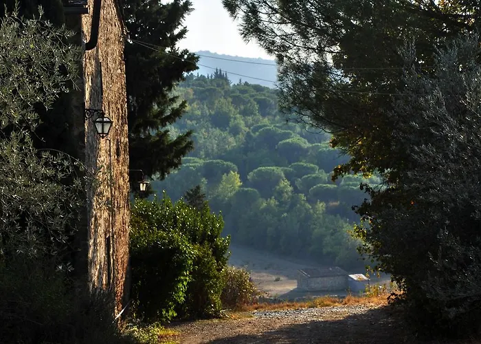 팜스테이 Il Leccio *