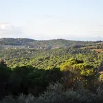 Il Leccio *